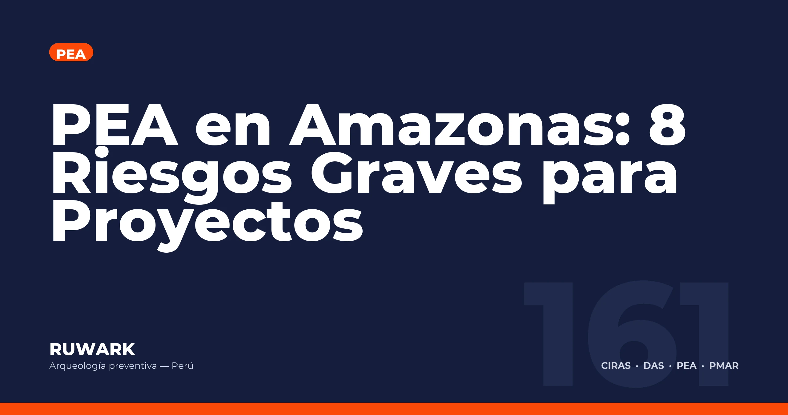 PEA en Amazonas: 8 Riesgos Graves para Proyectos — RUWARK