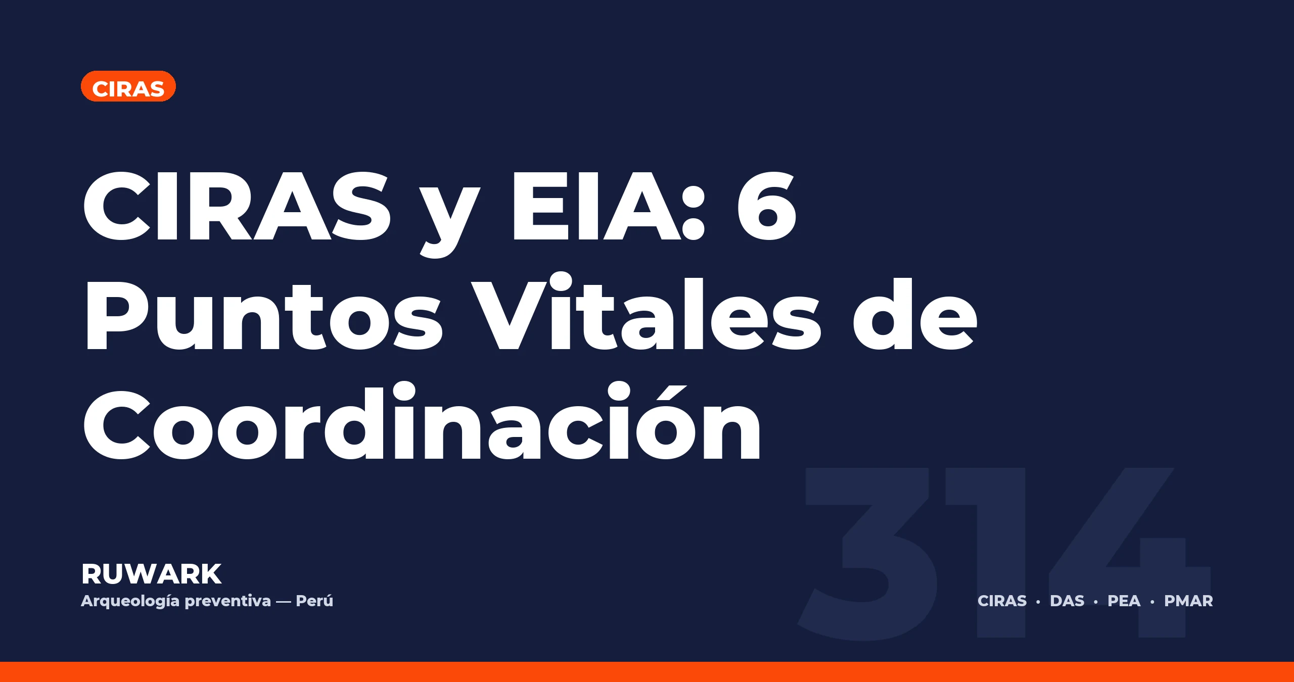 CIRAS y EIA: 6 Puntos Vitales de Coordinación — RUWARK