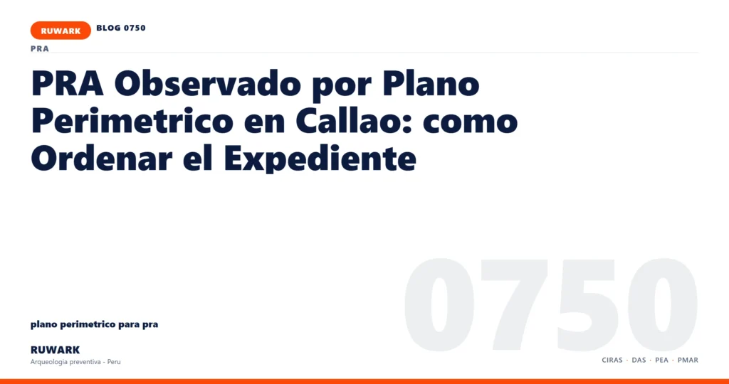 observacion - RUWARK arqueologia preventiva Peru